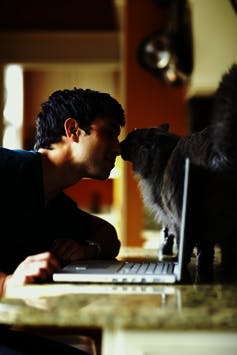 Le jeune homme est assis devant son ordinateur portable et met son nez contre celui de son chat.