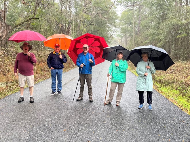 Les membres du OLLI Walking Club font une randonnée un jour de pluie.  Les inscriptions sont ouvertes pour les cours d'été, qui débutent le 6 mai 2024.