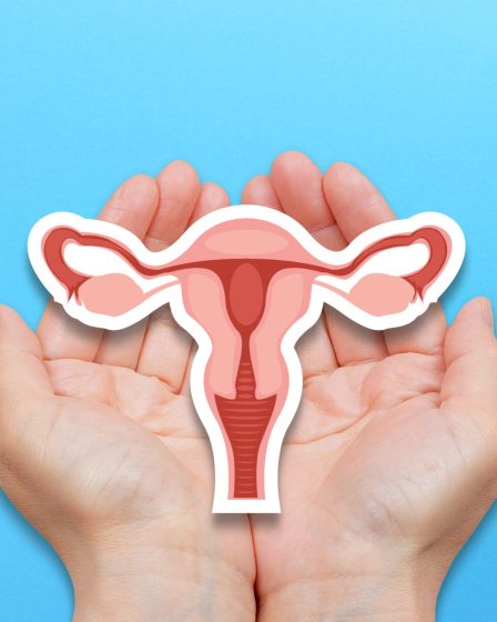 Female reproductive system. Hands holding uterus.