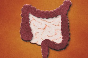 An illustration of the gut against an orange background