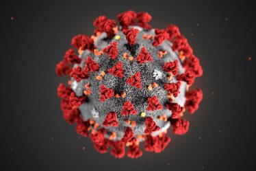 Les dernières nouvelles sur le coronavirus | Actualités