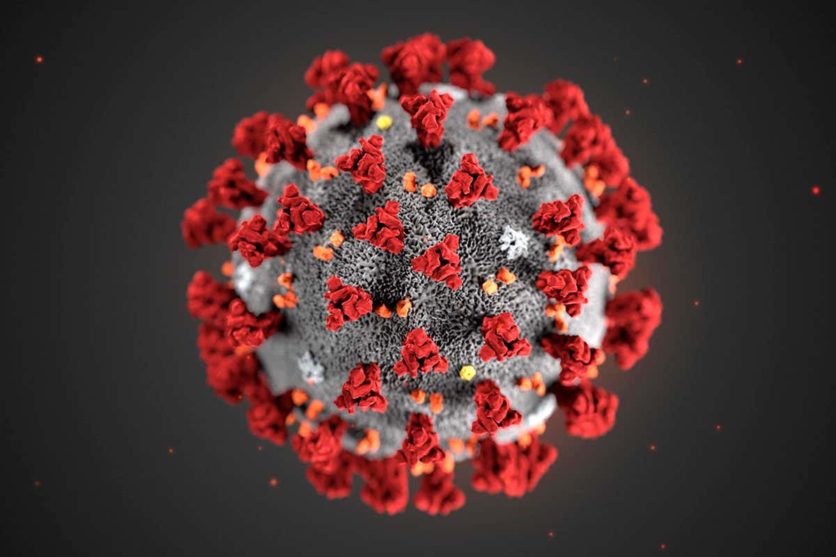 Les dernières nouvelles sur le coronavirus | Actualités