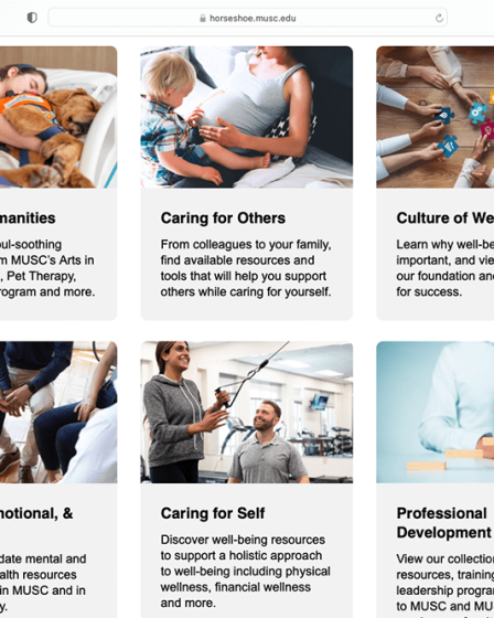 A screenshot from the Well-Being Collective shows six categories with photo illustrations. The categories are Arts and Humanities, Caring for Others, Culture of Well-Being, Mental, Emotional and Spiritual, Caring for Self and Professional Development .