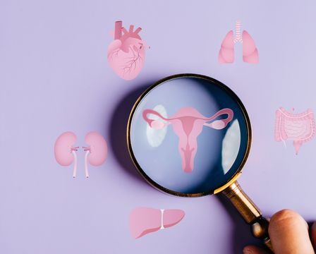 Santé du cycle menstruel : quelles sont les dernières recherches ?