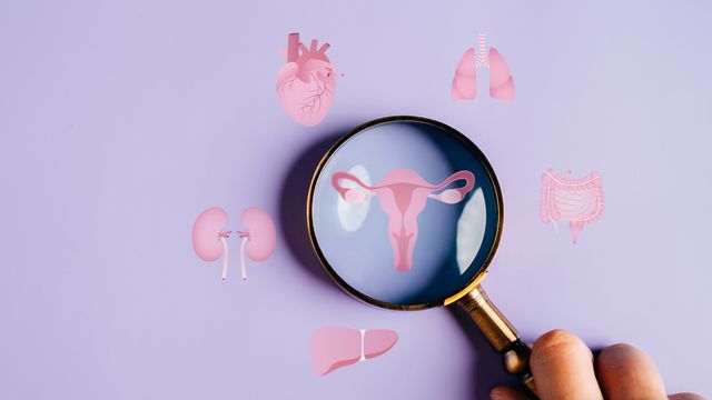 Santé du cycle menstruel : quelles sont les dernières recherches ?