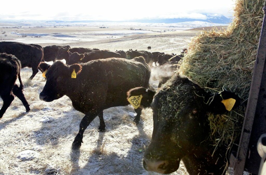 As farm life gets even tougher, Oregon plans to join mental health aid campaign