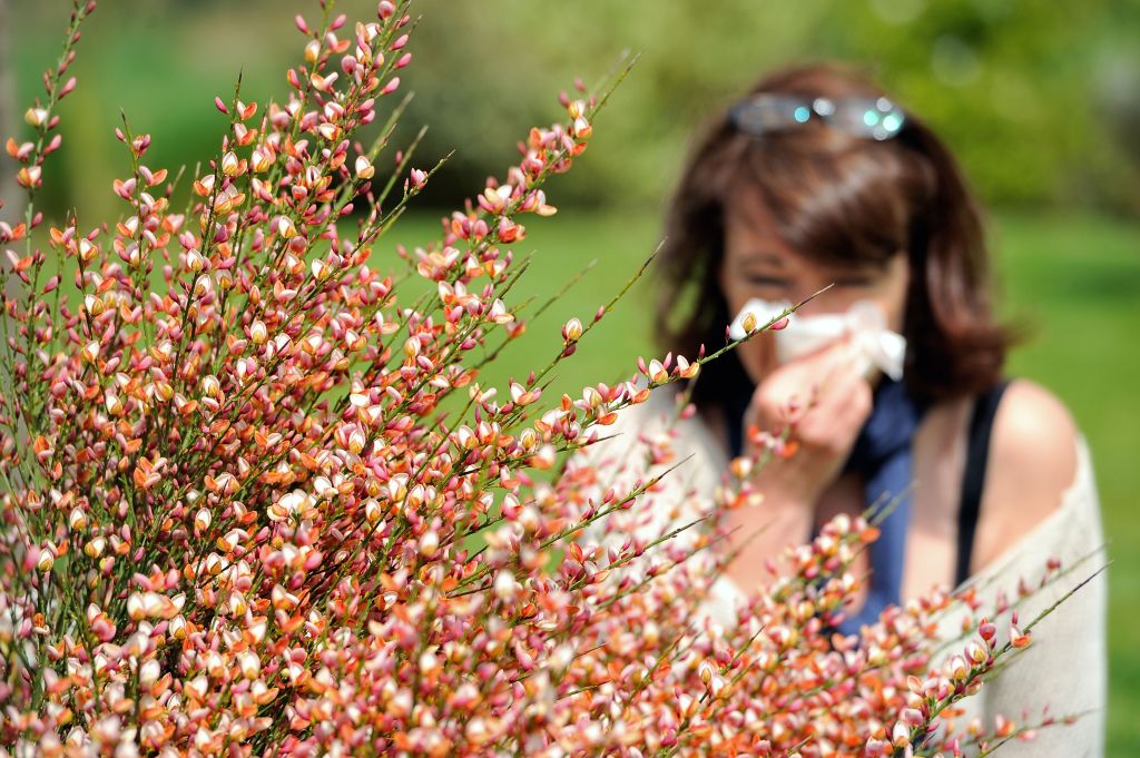 Pollen usually comes out in the spring. 