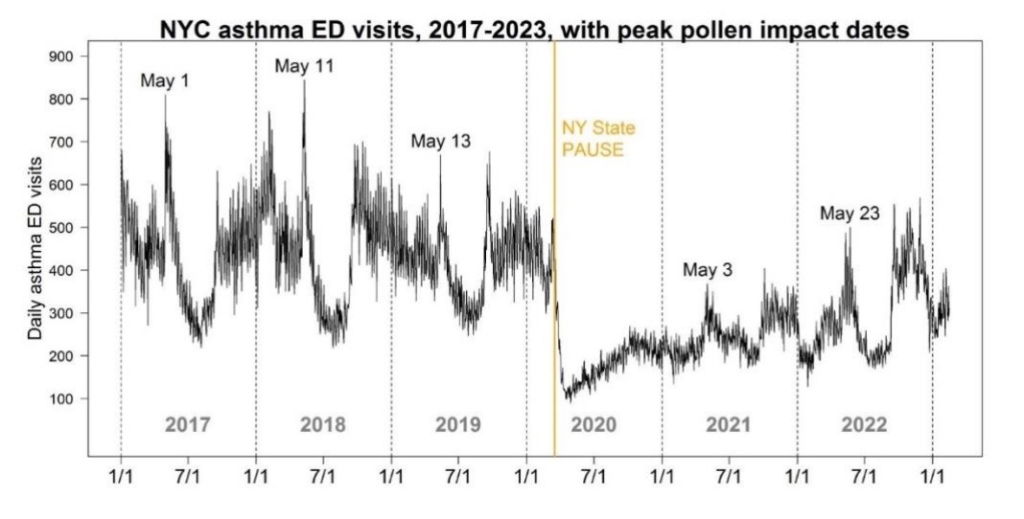 Data from the bulletin revealed that there may be more allergy-related hospitalizations in May. 